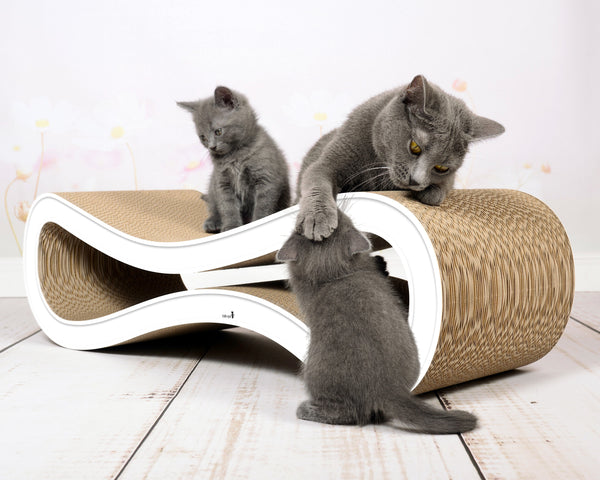 cat-on Katzenmöbel