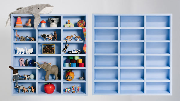 JW Regal Bundle – Komplettset zum Sonderpreis