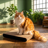 cat-on Premium Kratzbrett "LA PLANCHE" aus robuster Kratzpappe