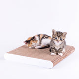 cat-on Premium Kratzbrett "LA PLANCHE" aus robuster Kratzpappe