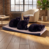 Kratzbrett für Katzen zur Krallenpflege von cat-on "LOUNGER SLIM LINE"