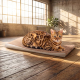 Kratzbrett für Katzen zur Krallenpflege von cat-on "LOUNGER SLIM LINE"