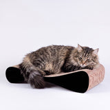 Kratzmöbel OLE für Katzen zur Krallenpflege