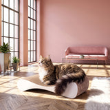 Kratzmöbel OLE für Katzen zur Krallenpflege