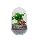 Flaschengarten EGG-Serie