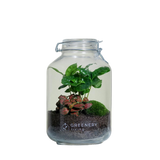 Flaschengarten JAR-Serie