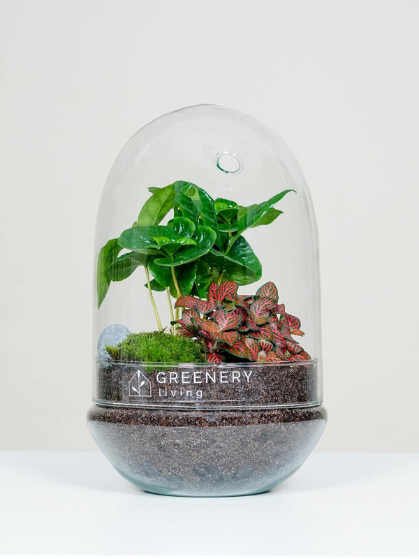 Flaschengarten EGG-Serie