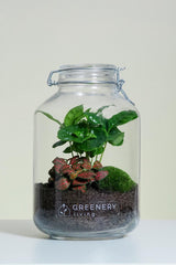 Flaschengarten JAR-Serie