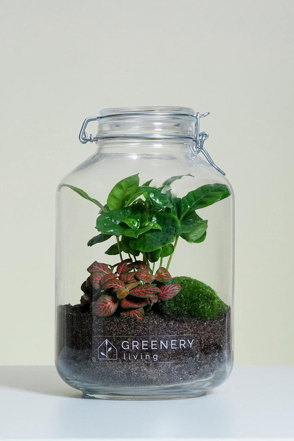 Flaschengarten JAR-Serie