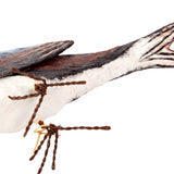 Detail des gegabelten Schwanzes der Papiermaché Mehlschwalbe.