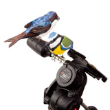 Mehrere Papiermaché Vögel zusammen als Mobile aufgehängt.