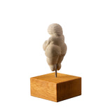 Verschiedene Perspektiven der Venus auf Stativ von allen Seiten